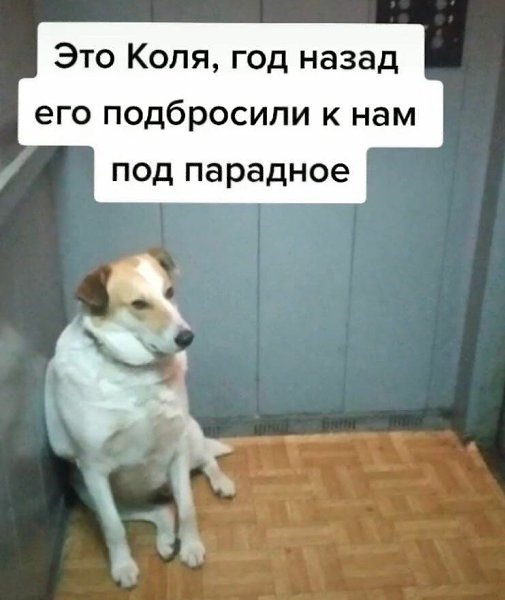   - 2