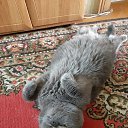 ���� �������, �����������, 69 ��� - ��������� 19 ������ 2020 � ������ ���� ����������