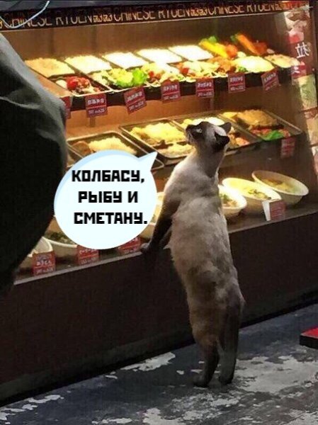  ,   )))) - 3