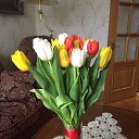 ���� �������, ���������������, 42 ���� - ��������� 14 ����� 2021 � ������ ���� ����������