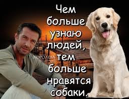    ,    ...    ,  - , ...