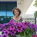 ���� �����, ������� - ��������� 6 ������� 2020