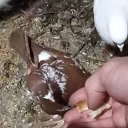 ���� �����, ������� - ��������� 18 ������� 2020 � ������ ���� �����