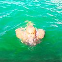 ���� �������, �����������, 53 ���� - ��������� 15 ������� 2020 � ������ ���� ����������