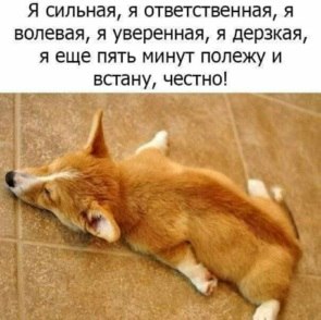 Всё будет хорошо! - 23 сентября 2020 в 13:39