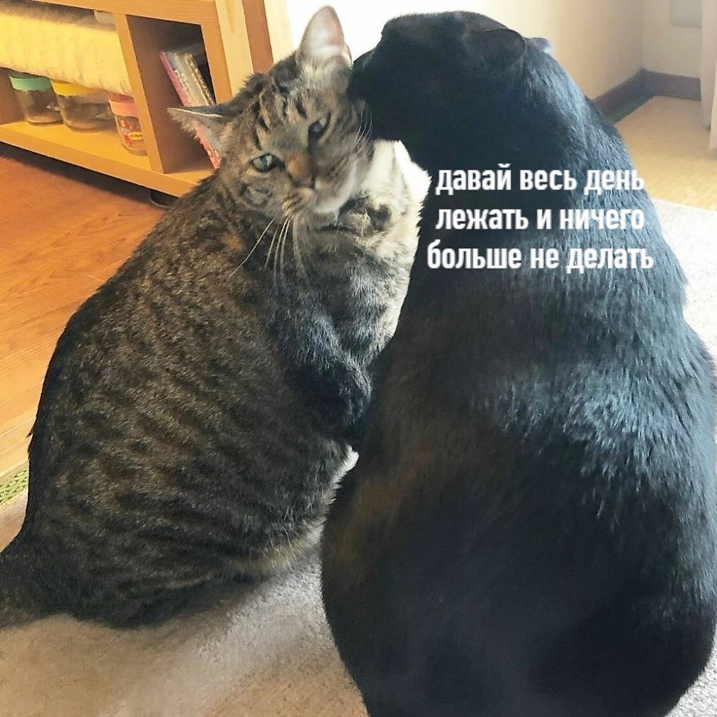   ,   ,   : - 2