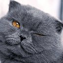 ���� ����, ����� - ��������� 17 ����� 2021