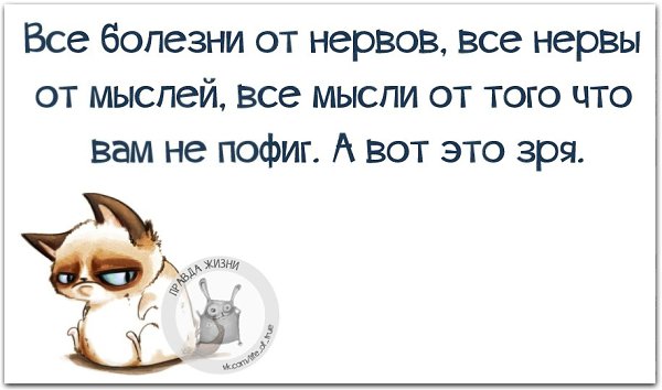   - 19  2021  17:54