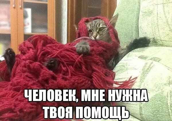   - 22  2021  13:11