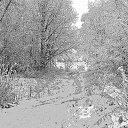 ���� �����, �������� - ��������� 27 ������� 2020 � ������ ���� ����������