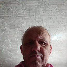 ������, ������, 79 ���