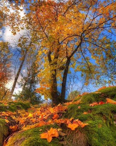  .eduard_gordeev_