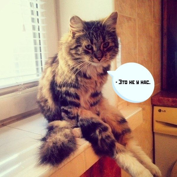       - 25  2020  19:06 - 2