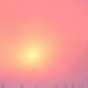  , , 66  -  17  2020    