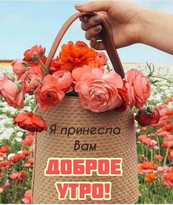 �� ����� ������! - 18 �������� 2020 � 06:20