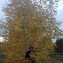 ���� ��������, �����������, 58 ��� - ��������� 5 ������� 2020 � ������ ���� ����������