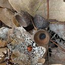 ���� ������ 234, ������ - ��������� 4 ������� 2020 � ������ ���� �������������