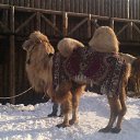 ���� �����, ������, 59 ��� - ��������� 14 �������� 2020 � ������ ���� ����������