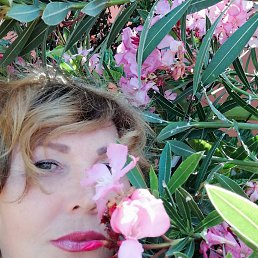 ����@, ����