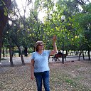 ���� ����������, �����������, 67 ��� - ��������� 23 ������ 2020 � ������ ���� ����������