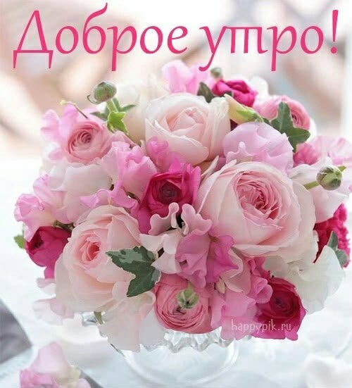   ,    . - 7  2021  01:44