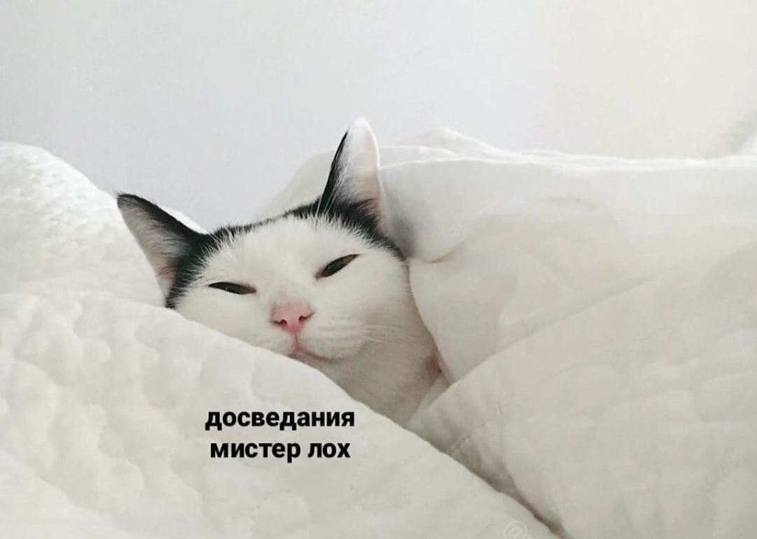 И до утра я буду. Dan balan лишь до утра. G-nise ты одна и я один. Я спать. До утра до утра песня.