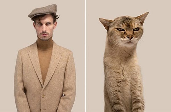 Фотограф Джеррард Гетингс показал, насколько котики похожи на нас - 4