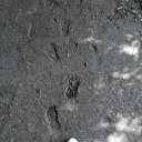 ���� �����, �����, 56 ��� - ��������� 28 �������� 2020 � ������ ���� ����������