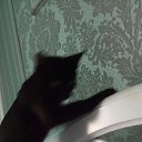 ���� ������, ��������� - ��������� 13 ������� 2020 � ������ �������� �����