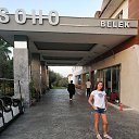  , , 53  -  7  2020    2020