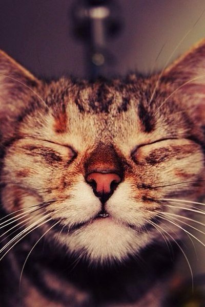   ,           .  ... - 3