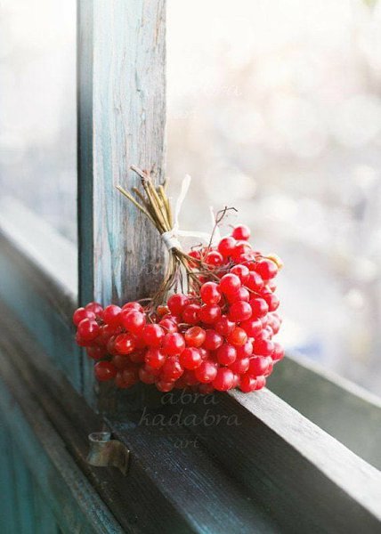 �� �� �������... �� ���������. ����� �������