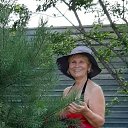 ���� �������, ������������ - ��������� 19 ������� 2020 � ������ ���� ����������