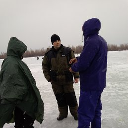 �������, ����, 51 ���