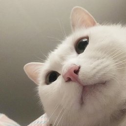 &hearts;&hearts;&hearts;Lizaveta, ������ ��������, 25 ���