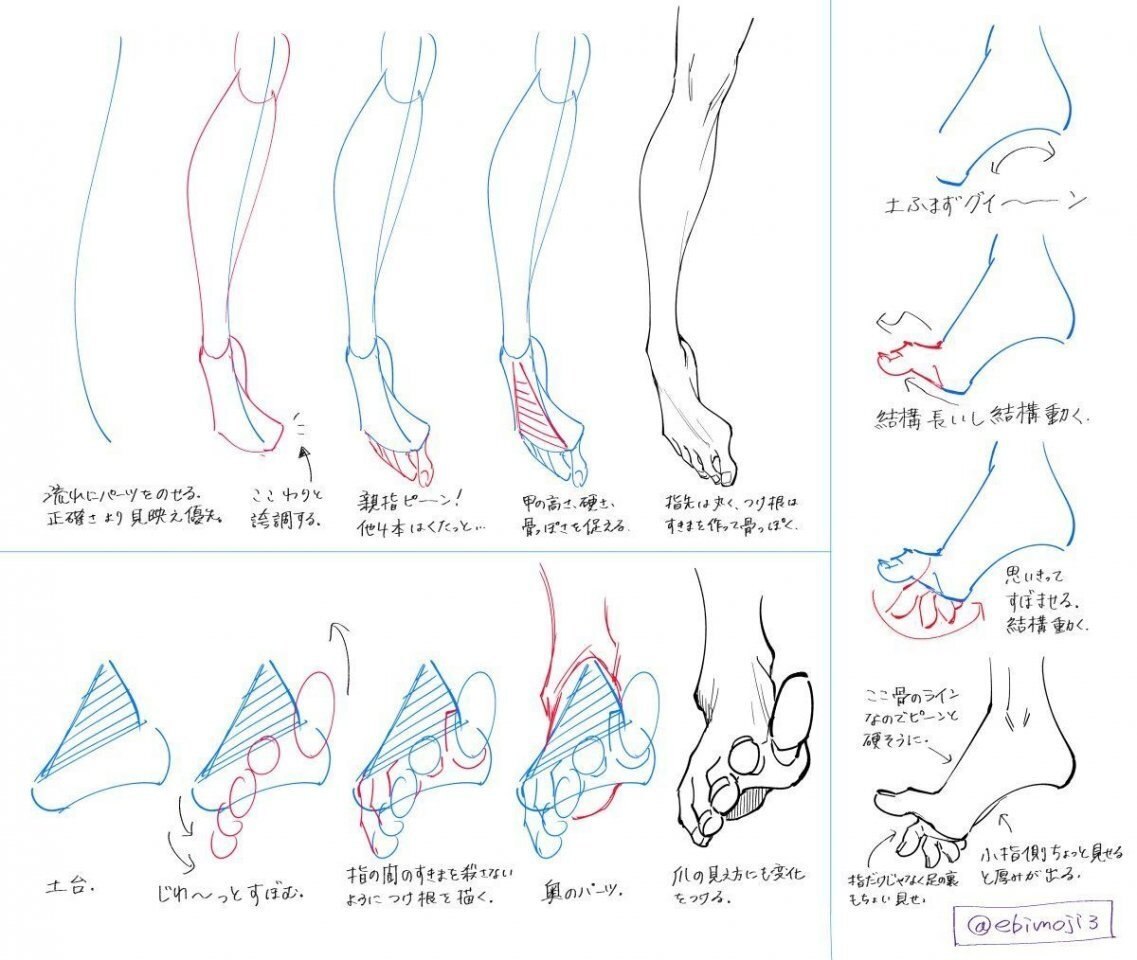 Ноги девушек референс. Аниме ноги референс. Стопы референсы. Ноги рисунок. Стопы туториал.