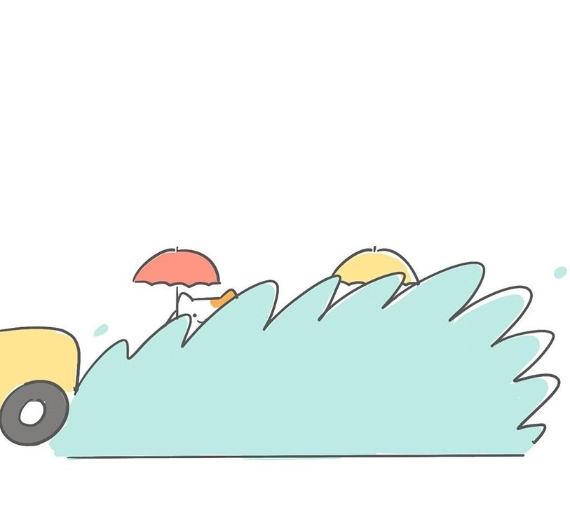      ,        - 2