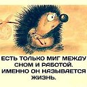 ���� ������, ���������, 58 ��� - ��������� 18 ����� 2021 � ������ ������ ��������
