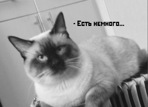       - 13  2021  19:37 - 2