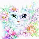 ���� ������, ���������, 63 ���� - ��������� 22 ������ 2020 � ������ ���� ����������