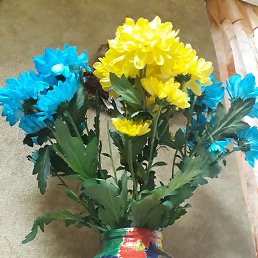 ����, ��������, 86 ���