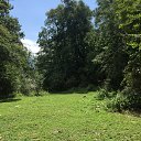 ���� ����, ������ - ��������� 4 �������� 2020 � ������ ���������