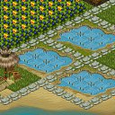 ���� ������, ���������� - ��������� 16 ������ 2020 � ������ �Tropikania�