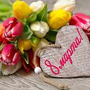 ���� �������, ����, 51 ��� - ��������� 8 ����� 2021 � ������ ������ ��������