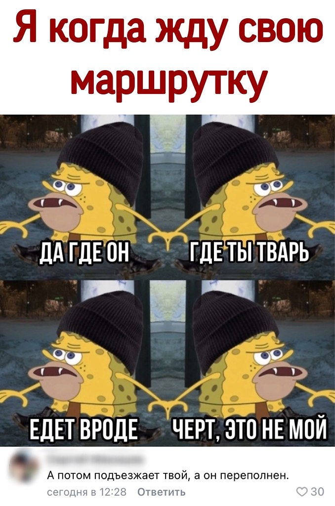  - 11  2021  05:43