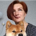 ���� �������, �����-��������� - ��������� 7 ������� 2020