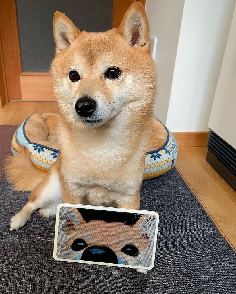  ! - 2