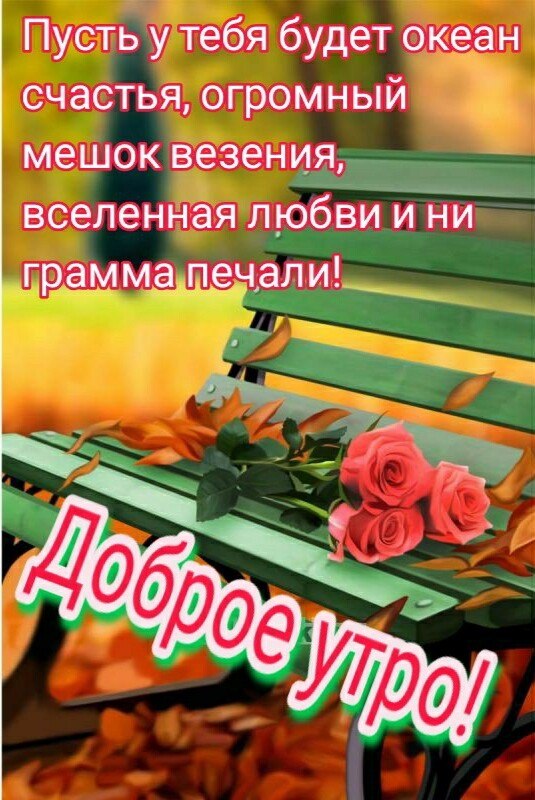   ,    . - 15  2020  00:42