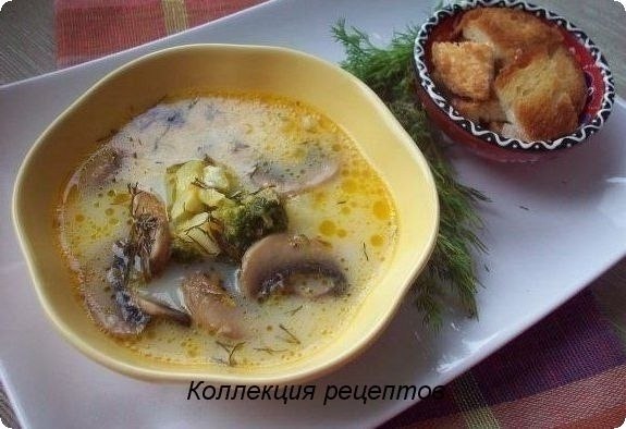 5 рецептов СЫРНЫХ СУПОВ.1. Сырный суп (с шампиньонами и брокколи)Ингредиенты:Шампиньоны — 5-7 ...