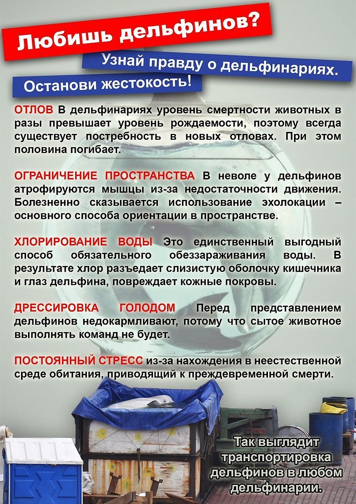  Ѩ  - 18  2020  19:34